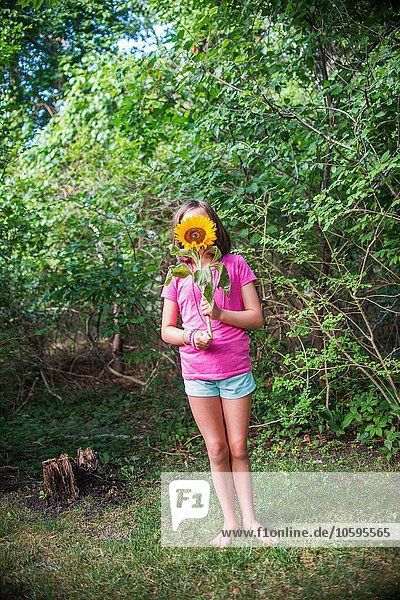 Junges Mädchen hält Sonnenblume vor dem Gesicht