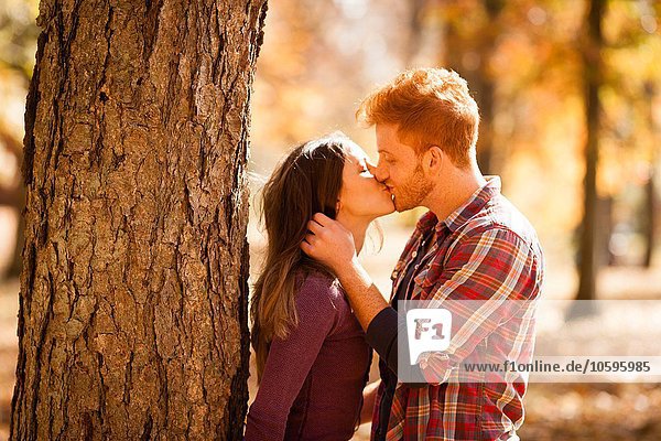 Romantisches junges Paar beim Küssen im Herbstwald