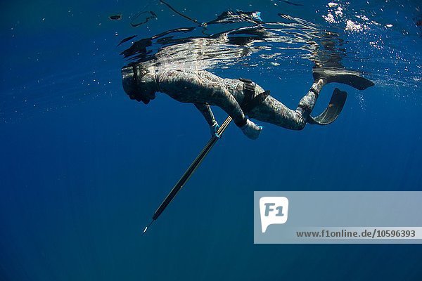 Unterwasser-Seitenansicht des Speerfischers  der sich auf das Wrack vorbereitet  Cabo Catoche  Quintana Roo  Mexiko