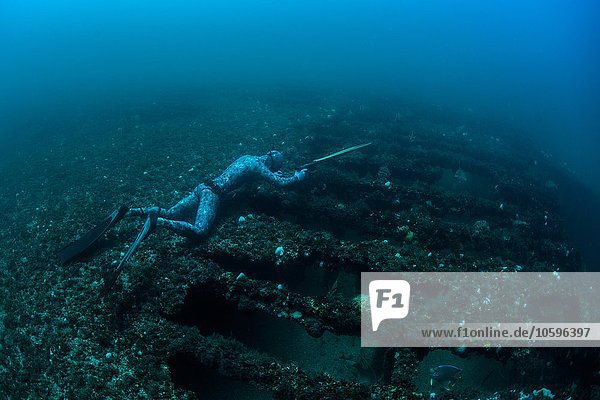 Underwater view of spearfisher waiting above shipwreck for prey  Cabo Catoche  Quintana Roo  Mexico