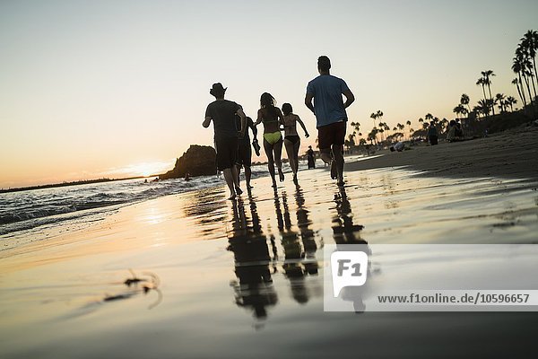 Rear view of adult friends running on beach at sunset  Newport Beach  California  USA