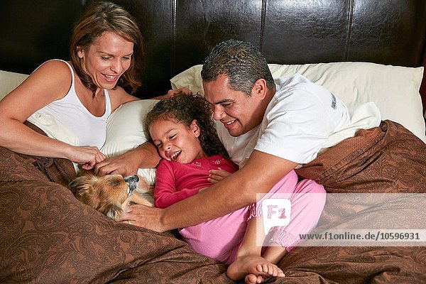 High angle view of girl in bed with parents stroking dog smiling