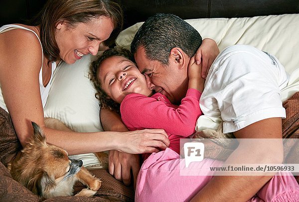 Hochwinkelansicht des Mädchens im Bett mit Eltern und Hund  umarmend  kitzelnd  lächelnd