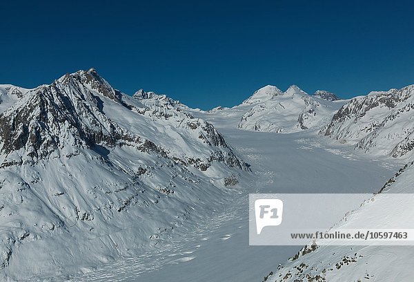 Blick auf den Aletschgletscher in den Schweizer Alpen  Berner Oberland  Schweiz