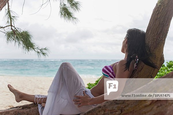 Frau  die in einem Strandbaum liegt und auf das Meer blickt  Barbados  Die Karibik