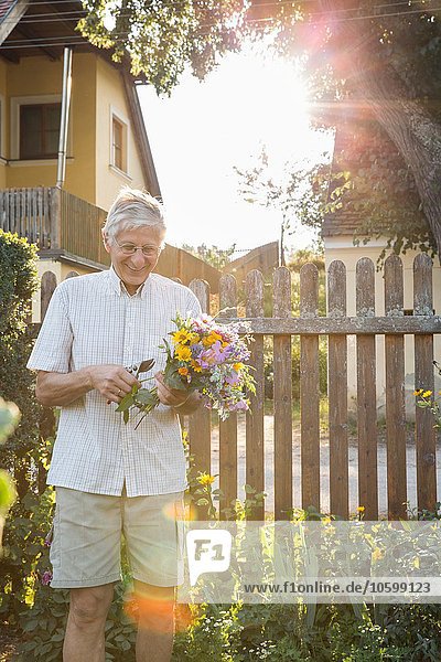 Senior Mann im Garten  hält einen Strauß frischer Schnittblumen.
