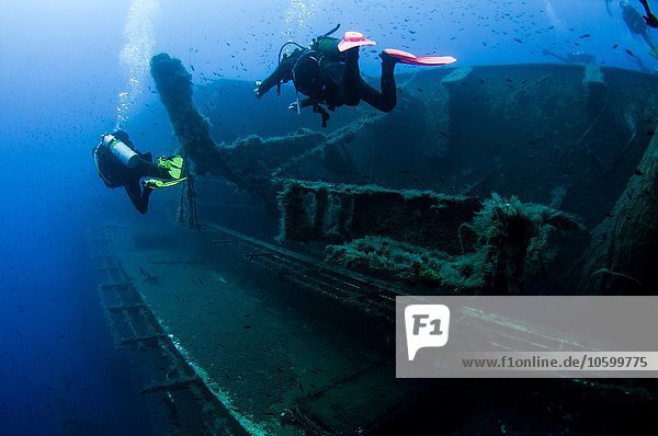Underwater rear view of divers investigating MS Zenobia shipwreck  Larnaca  Cyprus