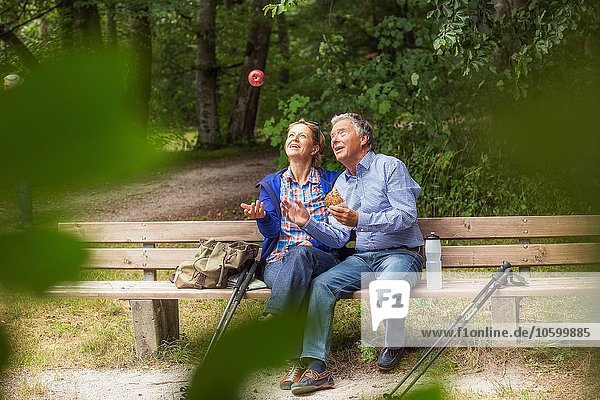 Paar sitzt auf Bank im Wald Frau wirft Apfel in die Luft