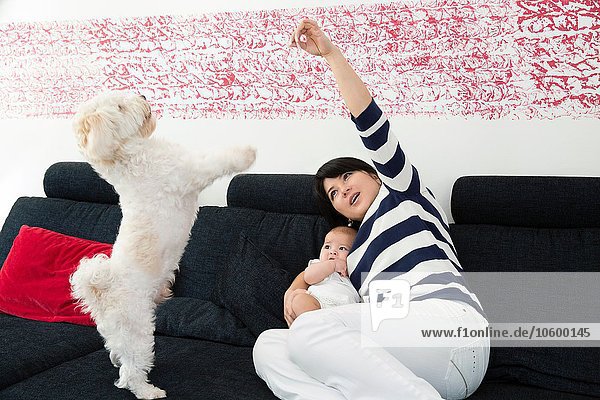 Reife Frau und Enkelin beim Spielen mit Hund auf dem Sofa