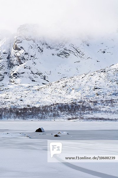 Gefrorener Fjord bei Svolvaer  Lofoten  Norwegen