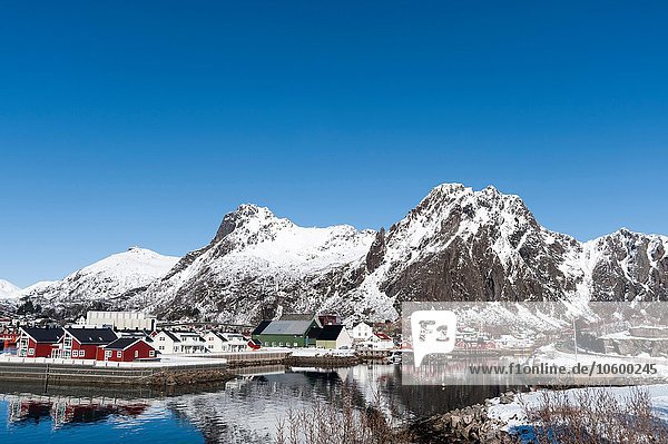 Häuser am Wasser und schneebedeckte Berge  Svolvaer  Lofoten  Norwegen