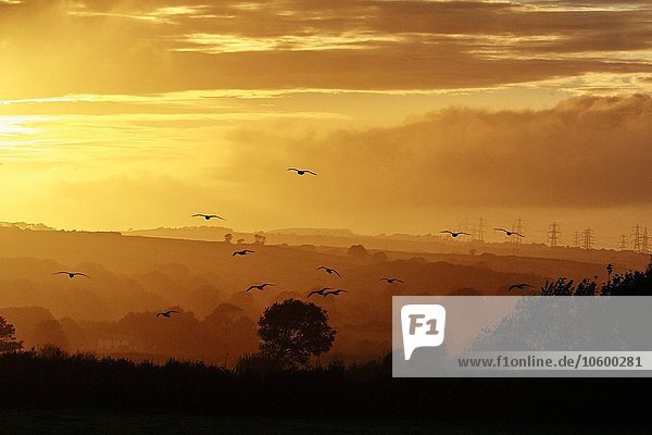 Silhouettierte Landschaft des Lake District bei Sonnenuntergang  Cumbria  UK