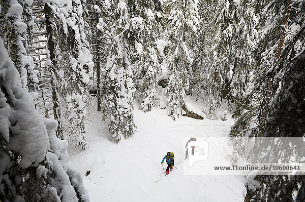 High angle view of two people cross country skiing