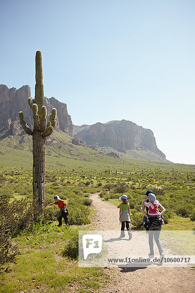 Rear view of family hiking in desert
