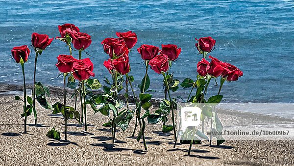Ein Dutzend rote Rosen im Sand am Strand platziert