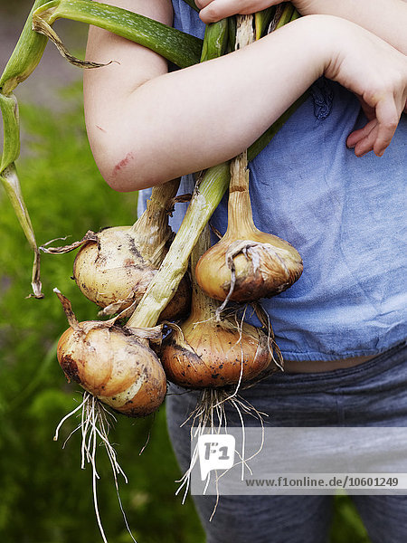 Close-up of girl holding onions