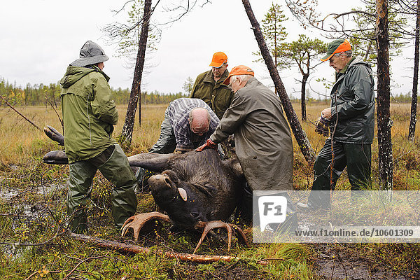 Hunters with dead elk