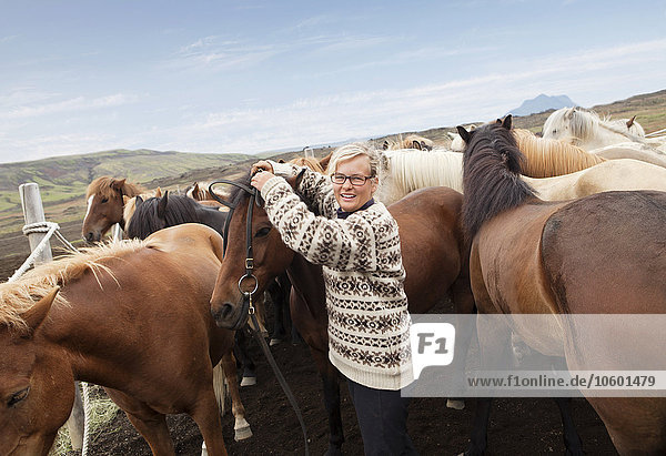 Frau mit Herde von Islandpferden