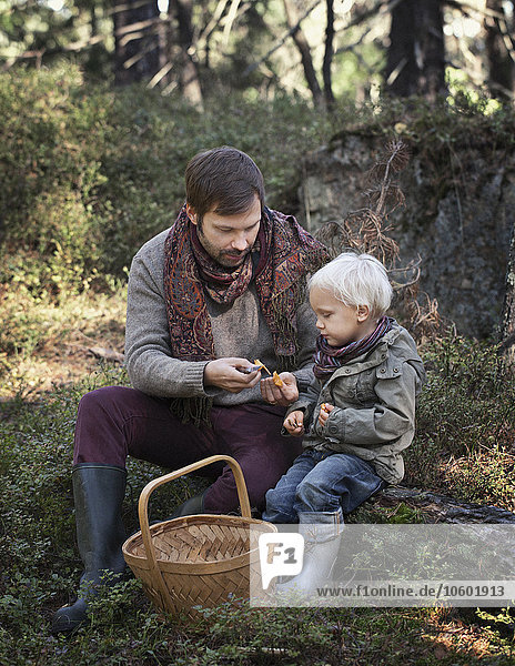 Father with son picking mushrooms