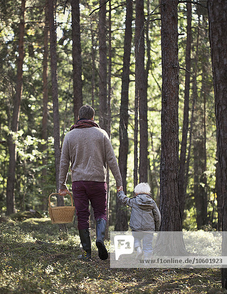 Father walking with son through forest