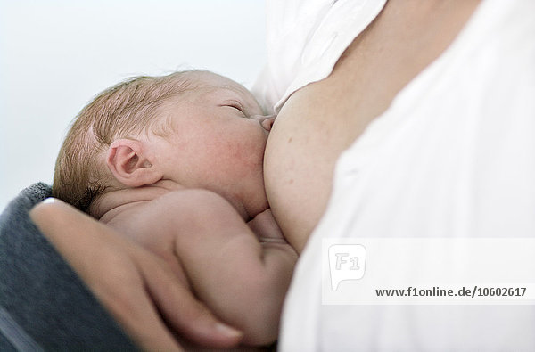 Mother breastfeeding newborn baby  Danderyd  Stockholm  Sweden