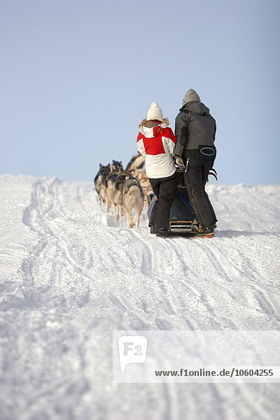 Couple on dog sledge