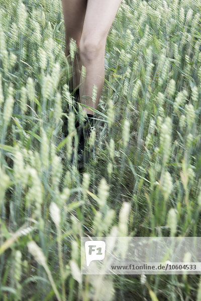 Girl walking through wheat field  low section