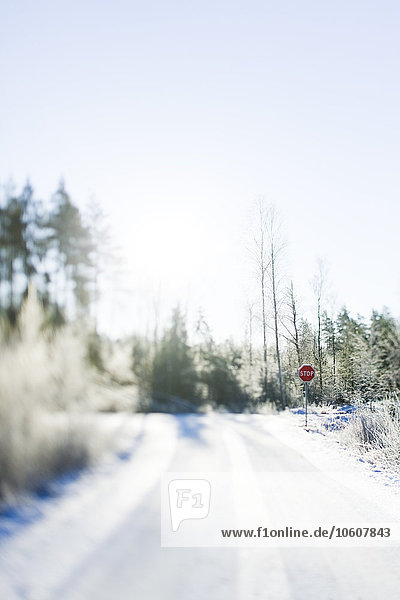 Winter road with a stop sign