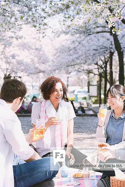 Eine multiethnische Gruppe von Freunden genießt die Kirschblüte in Tokio