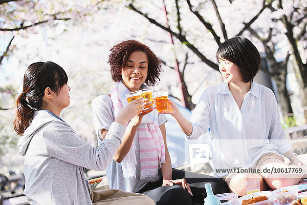 Eine multiethnische Gruppe von Freunden genießt die Kirschblüte in Tokio