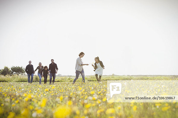 Mehrgenerationen-Familienwanderung auf einer sonnigen Wiese mit Wildblumen