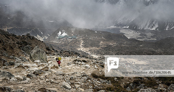 Nepal  Himalaya  Khumbu  Dughla  carrier on hiking trail