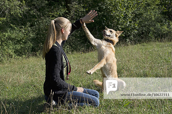 Young woman taming her dog on a meadow