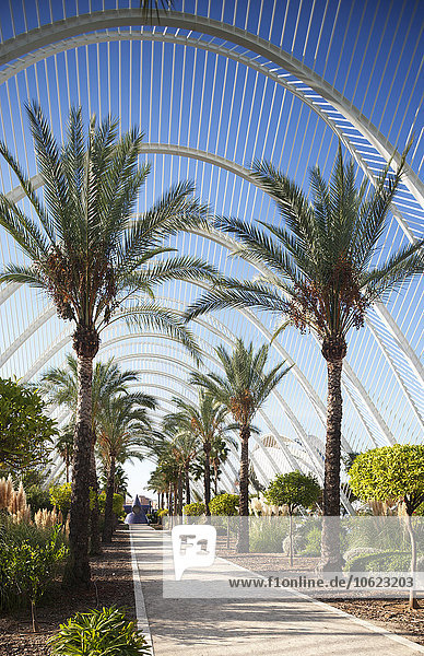 Spanien  Valencia  Ciudad de las Artes y de las Ciencias  Blick auf Palmengarten