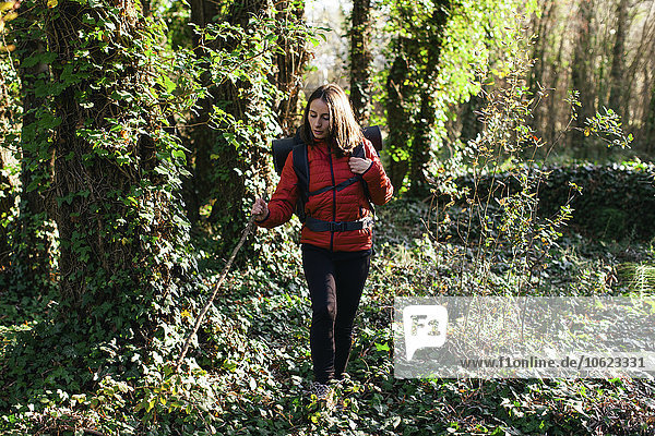 Spain  Catalunya  Girona  female hiker walking in the woods