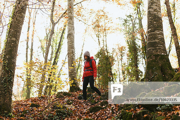 Spanien  Katalonien  Girona  Wanderin in den Wäldern