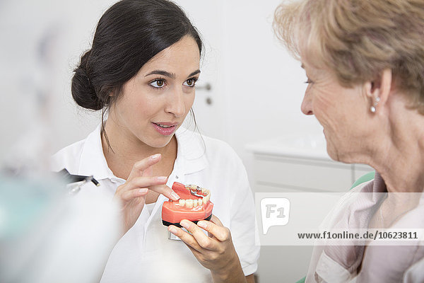 Dentist explaining tooth model to senior woman