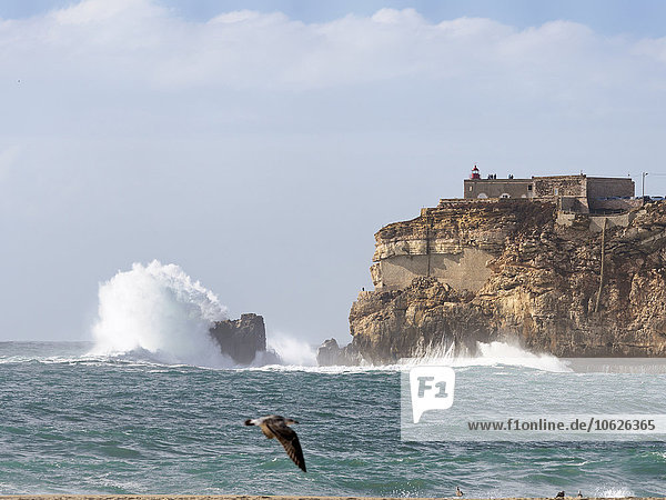 Portugal  Nazare  Leuchtturm und Surfen an der Felsenküste