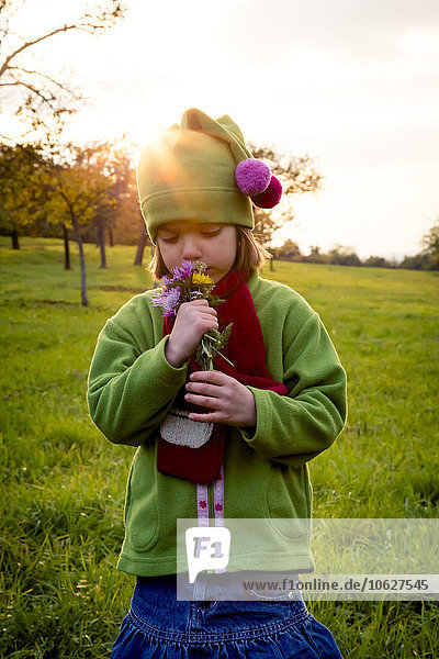 Germany  Baden-Wuerttemberg  little girl on a meadow smelling flowers at evening twilight