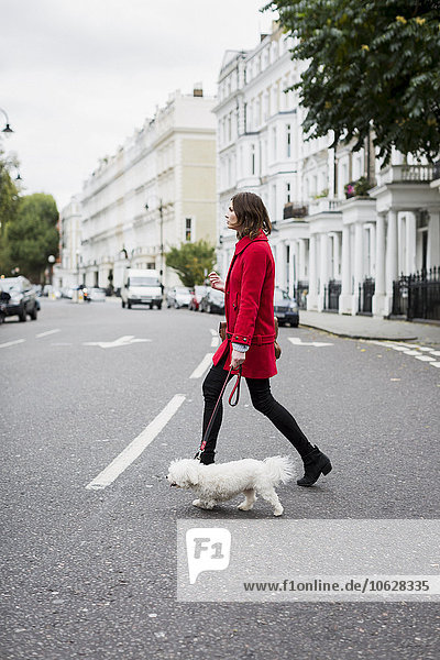 UK  London  young woman wearing red jacket crossing the street with her dog