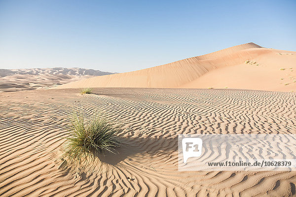 United Arab Emirates  desert