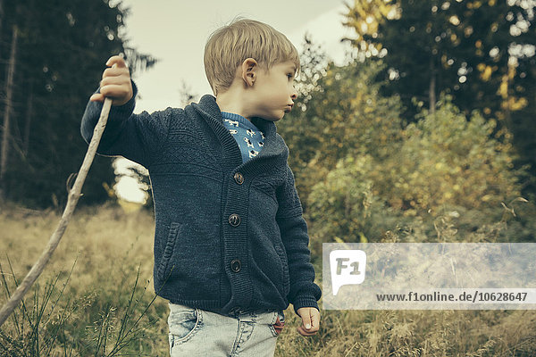Little boy exploring forest  walking in grass with his stick