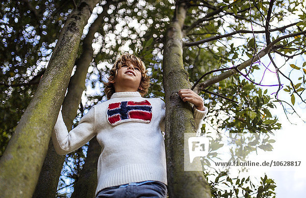Blonder Junge im Pullover mit Norwegischer Flagge zwischen zwei Bäumen