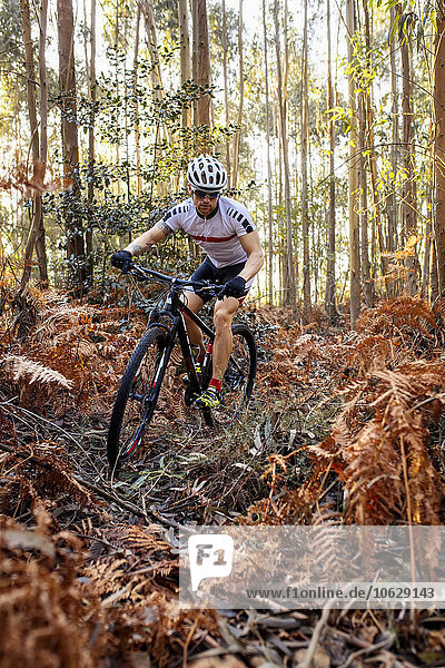 Mountain biker driving in the forest