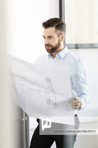 Man in office looking at construction plan