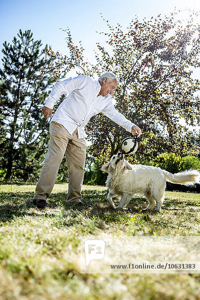 Älterer Mann spielt mit Hund auf einer Wiese