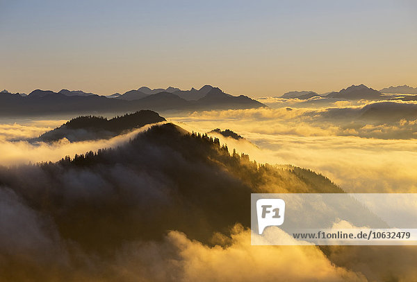 Deutschland Bayern Bayerische Voralpen Sonnenuntergang am Jochberg Morgenstimmung