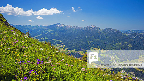 Alpen  Blick vom Fellhorn über das Kleine Walsertal Richtung Hoher Ifen  Gottesacker und Toreck