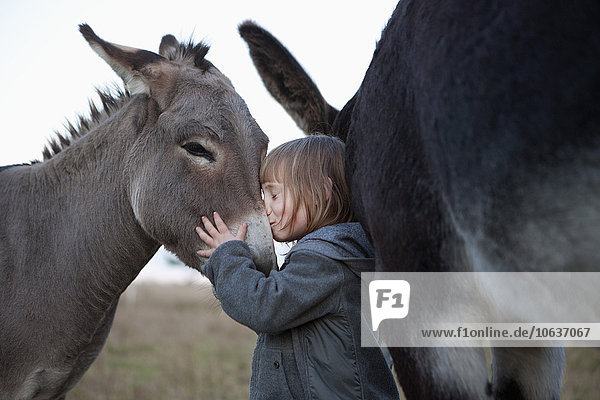 Seitenansicht des süßen Mädchens  das den Esel auf dem Feld küsst.