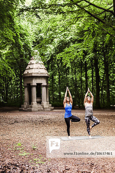 Young women practicing yoga in tree pose at park